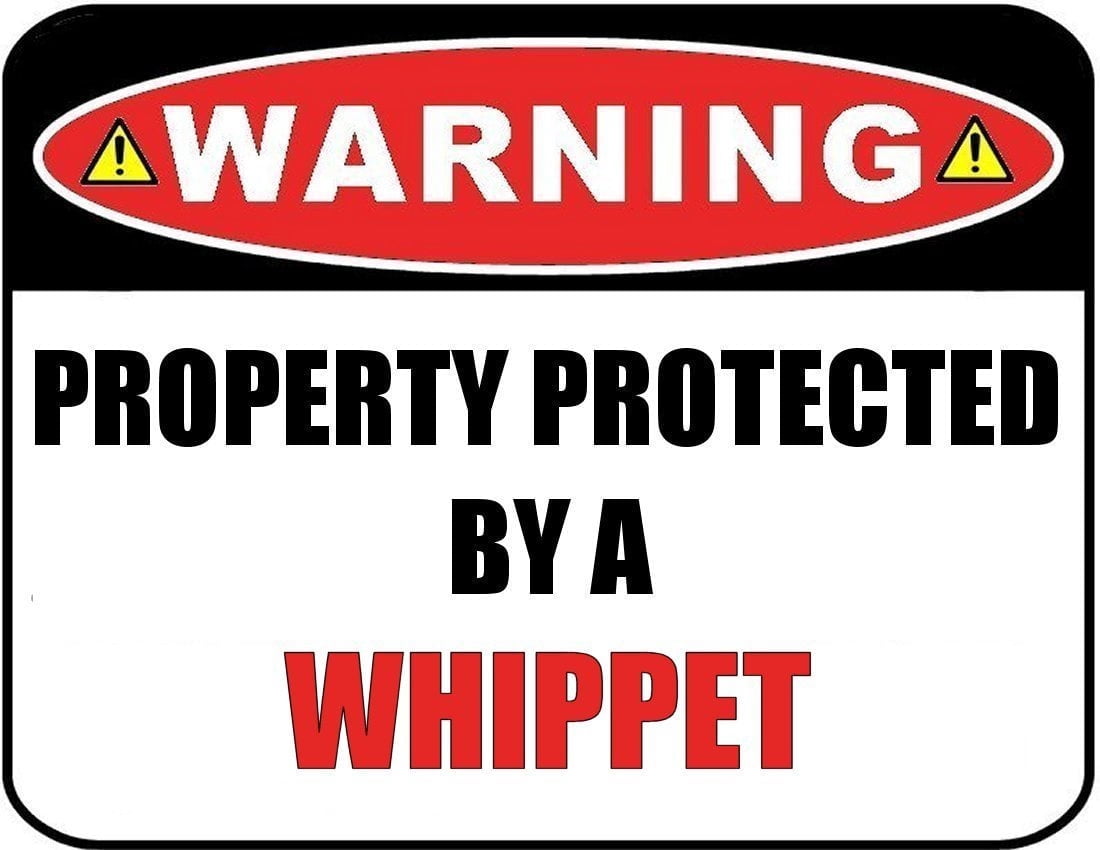 Funny Whippet Dog Sign – Laminated 11.5″ x 9″ Wall Decor