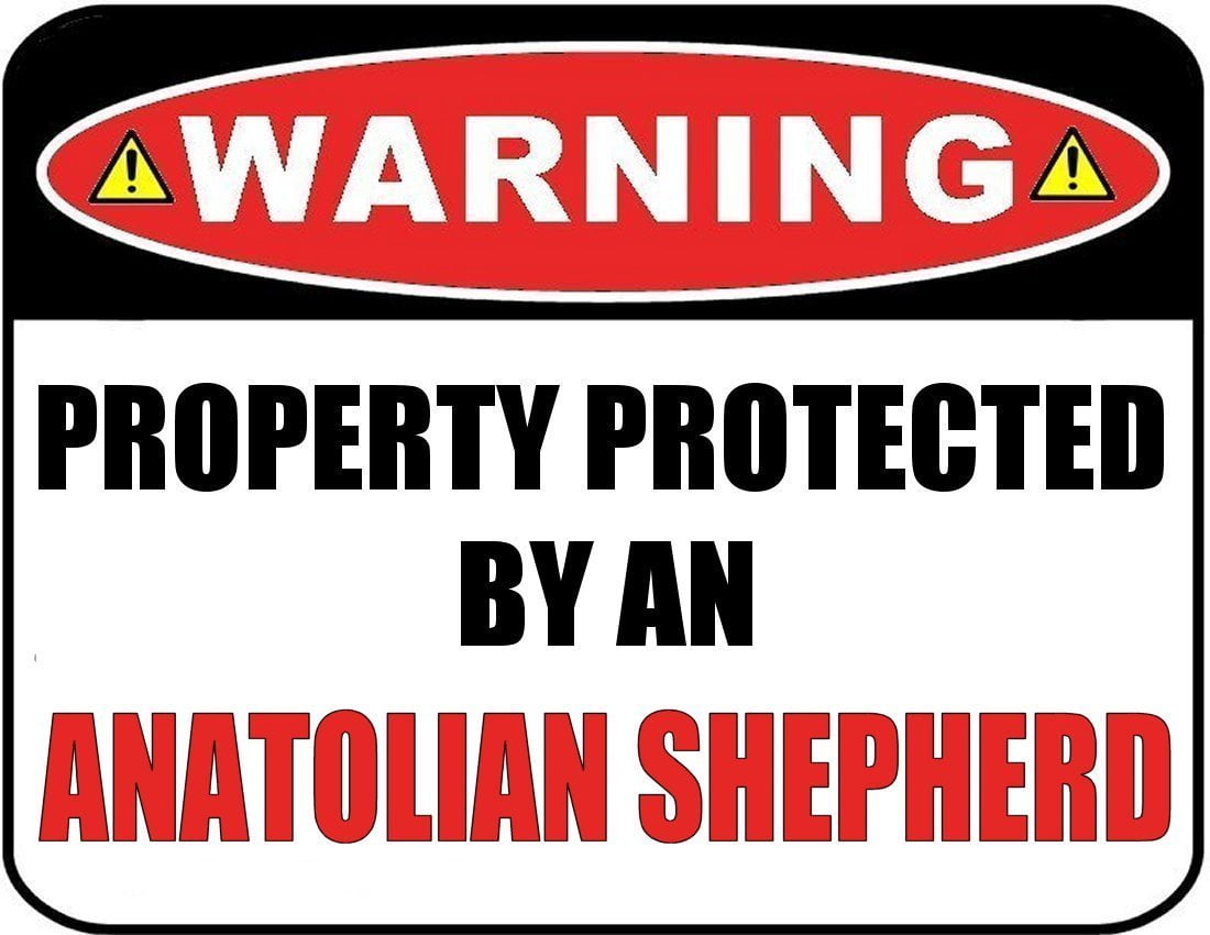Warning Property Protected by an Anatolian Shepherd 9 inch x 11.5 inch Laminated Dog Sign