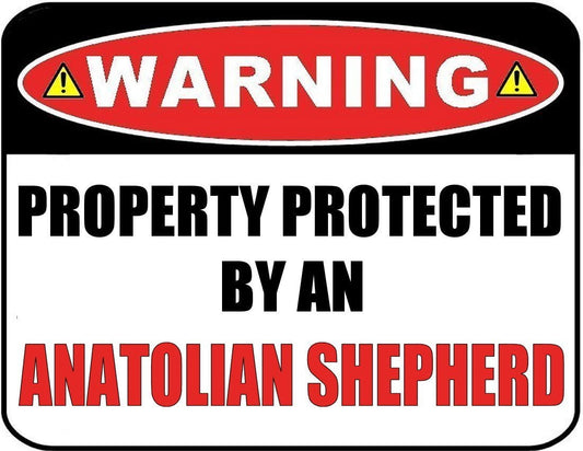 Warning Property Protected by an Anatolian Shepherd 9 inch x 11.5 inch Laminated Dog Sign